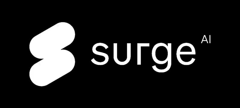 Customer logo